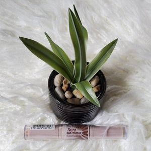 Rimmel London Insta Duo Contour Stick Dark #300